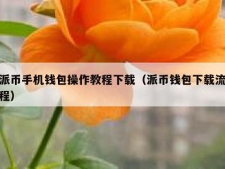 派币手机钱包操作教程下载（派币钱包下载流程）