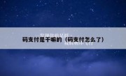 码支付是干嘛的（码支付怎么了）