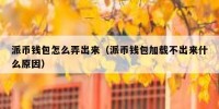 派币钱包怎么弄出来（派币钱包加载不出来什么原因）