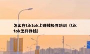 怎么在tiktok上赚钱极界培训（tiktok怎样挣钱）