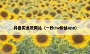 抖音买点赞网站（一秒1w粉丝app）