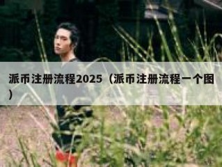 派币注册流程2025（派币注册流程一个图）