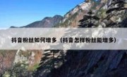 抖音粉丝如何增多（抖音怎样粉丝能增多）