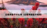 云服务器干什么用（云服务器能干啥用）