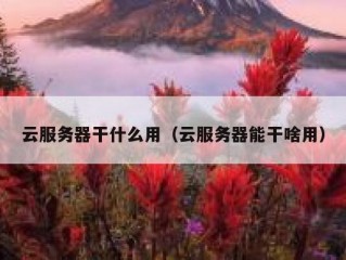 云服务器干什么用（云服务器能干啥用）