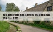 抖音里加粉丝团有什么好处吗（抖音里加粉丝团是什么意思）