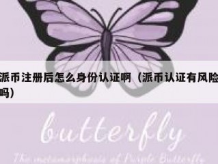 派币注册后怎么身份认证啊（派币认证有风险吗）