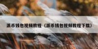 派币钱包视频教程（派币钱包视频教程下载）