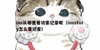 ins从哪里看访客记录呢（insstory怎么看访客）