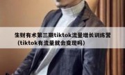 生财有术第三期tiktok流量增长训练营（tiktok有流量就会变现吗）