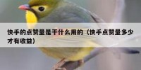 快手的点赞量是干什么用的（快手点赞量多少才有收益）