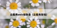 云服务web端登录（云服务登陆）