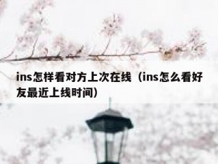 ins怎样看对方上次在线（ins怎么看好友最近上线时间）