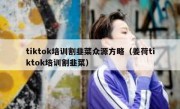 tiktok培训割韭菜众源方略（姜荷tiktok培训割韭菜）