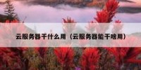 云服务器干什么用（云服务器能干啥用）