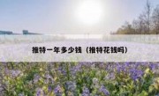 推特一年多少钱（推特花钱吗）
