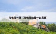 代收付一体（代收付款是什么意思）