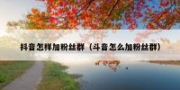 抖音怎样加粉丝群（斗音怎么加粉丝群）