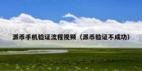 派币手机验证流程视频（派币验证不成功）