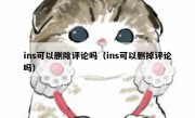 ins可以删除评论吗（ins可以删掉评论吗）