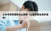 公众号突然涨粉怎么回事（公众号莫名其妙涨粉）