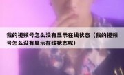 我的视频号怎么没有显示在线状态（我的视频号怎么没有显示在线状态呢）
