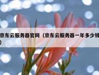 京东云服务器官网（京东云服务器一年多少钱）