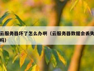 云服务器坏了怎么办啊（云服务器数据会丢失吗）