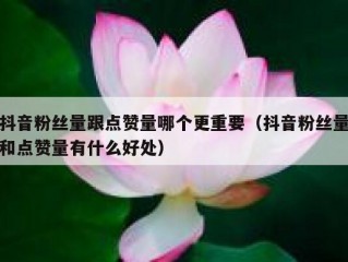 抖音粉丝量跟点赞量哪个更重要(抖音粉丝量和点赞量有什么好处)
