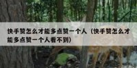 快手赞怎么才能多点赞一个人（快手赞怎么才能多点赞一个人看不到）