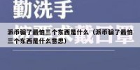 派币骗了最怕三个东西是什么（派币骗了最怕三个东西是什么意思）
