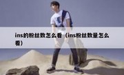 ins的粉丝数怎么看（ins粉丝数量怎么看）