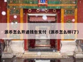 派币怎么开通钱包支付（派币怎么样l了）