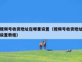 视频号收货地址在哪里设置（视频号收货地址设置教程）