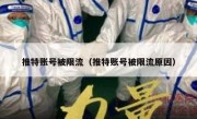 推特账号被限流（推特账号被限流原因）