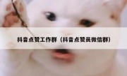 抖音点赞工作群（抖音点赞员微信群）