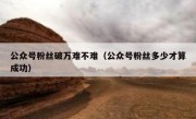 公众号粉丝破万难不难（公众号粉丝多少才算成功）