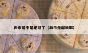 派币是不是跑路了（派币是骗局嘛）
