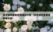 快手如何查看视频播放次数（快手如何查看视频播放量）