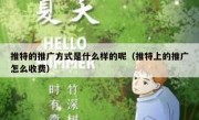 推特的推广方式是什么样的呢（推特上的推广怎么收费）