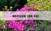 涨粉平台抖音（涨粉 抖音）