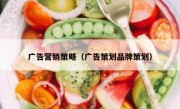 广告营销策略（广告策划品牌策划）