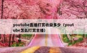 youtube直播打赏收益多少（youtube怎么打赏主播）