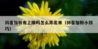 抖音加粉有上限吗怎么弄出来（抖音加粉小技巧）