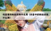 抖音里的粉丝团有什么用（抖音中的粉丝团有什么用）