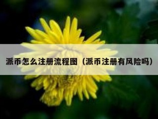 派币怎么注册流程图（派币注册有风险吗）