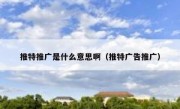 推特推广是什么意思啊（推特广告推广）