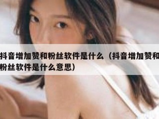 抖音增加赞和粉丝软件是什么（抖音增加赞和粉丝软件是什么意思）