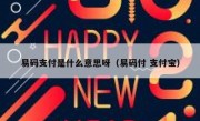 易码支付是什么意思呀（易码付 支付宝）