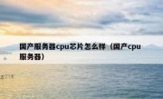 国产服务器cpu芯片怎么样（国产cpu 服务器）